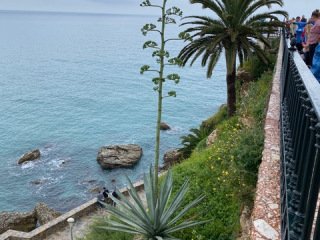 IMG_4482-2