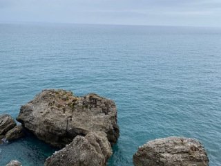 IMG_4483